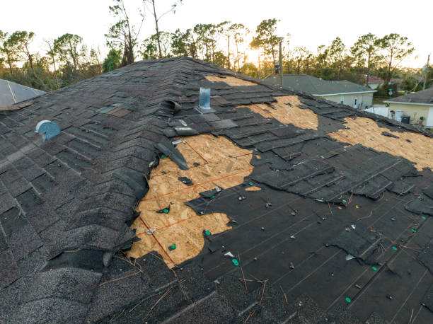 Best Roof Moss and Algae Removal  in Rankin, TX